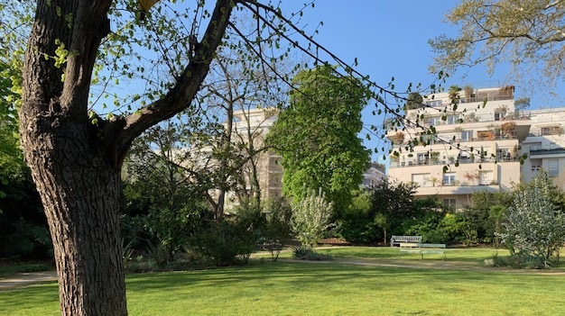 Jardin Union Belge