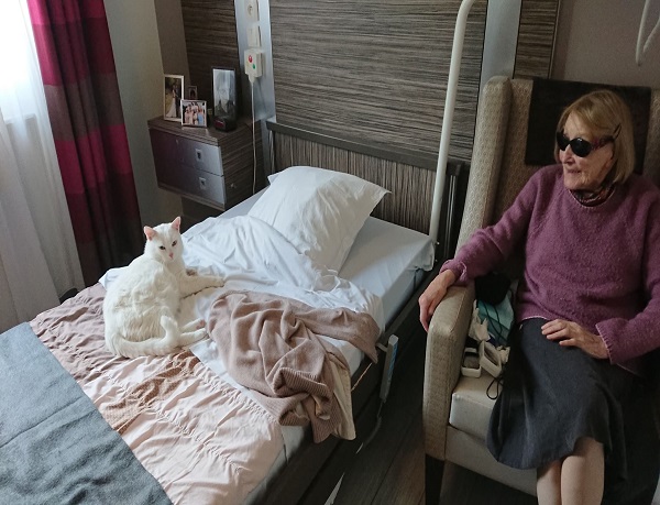 Chat union belge